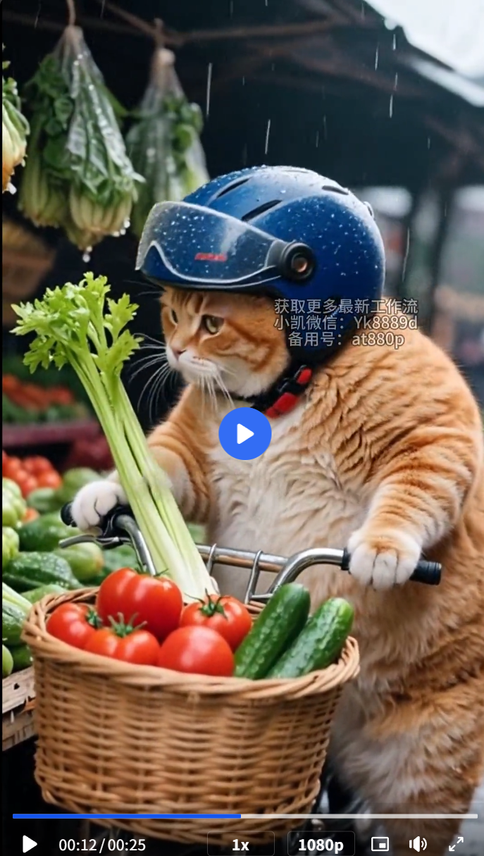 6.9、抖音火爆：橘猫搞笑视频-子文写作台
